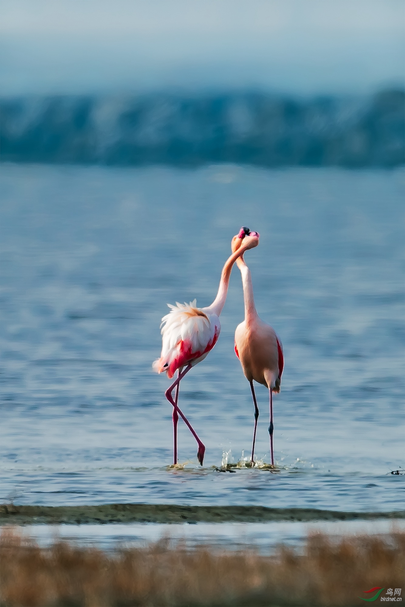 _DSC9360 ����_����.jpg