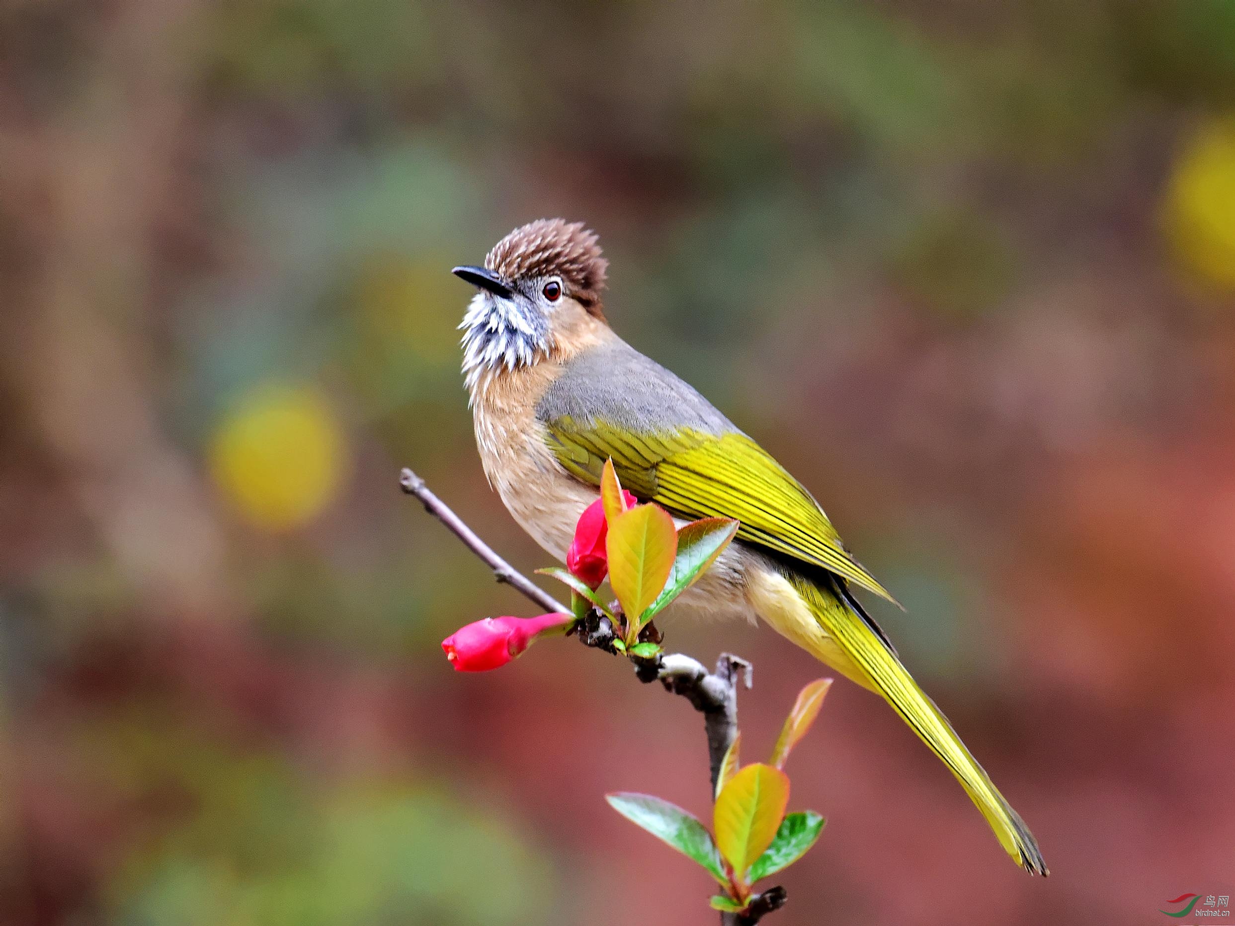DSC_6267_conew2.jpg