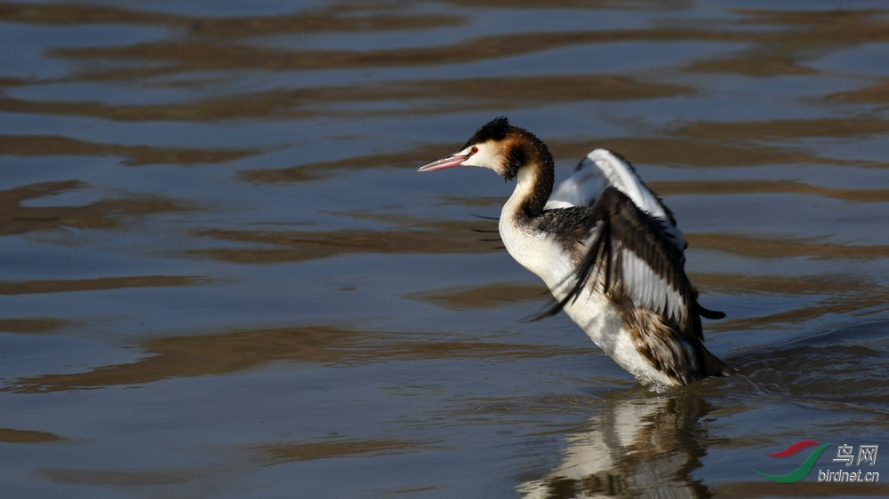 DSC_2498.jpg