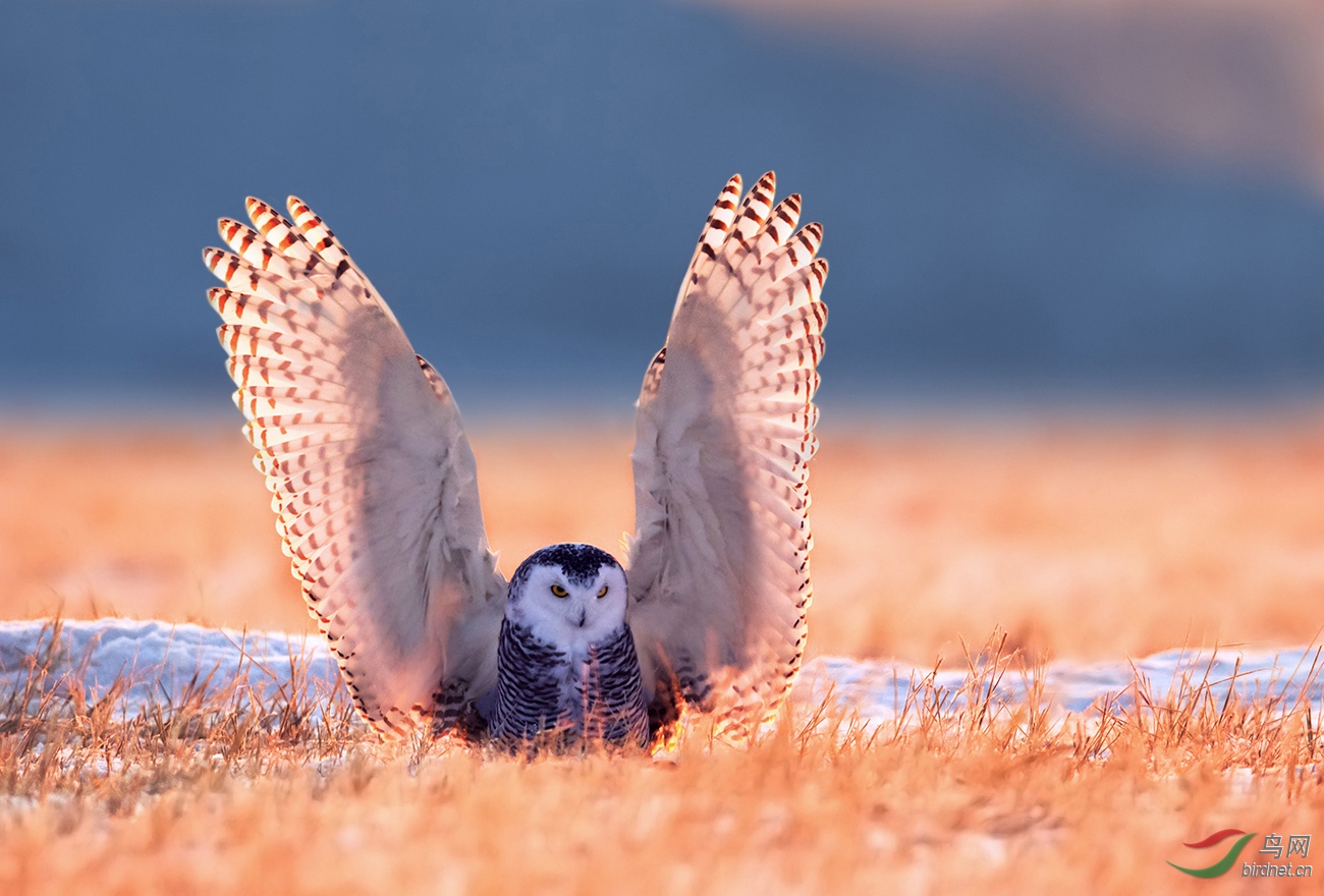 DSC_3922-�ָ���.jpg