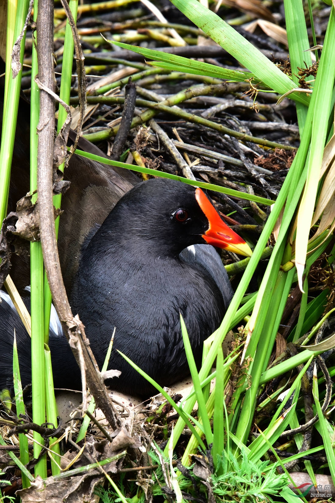 DSC_0489.JPG