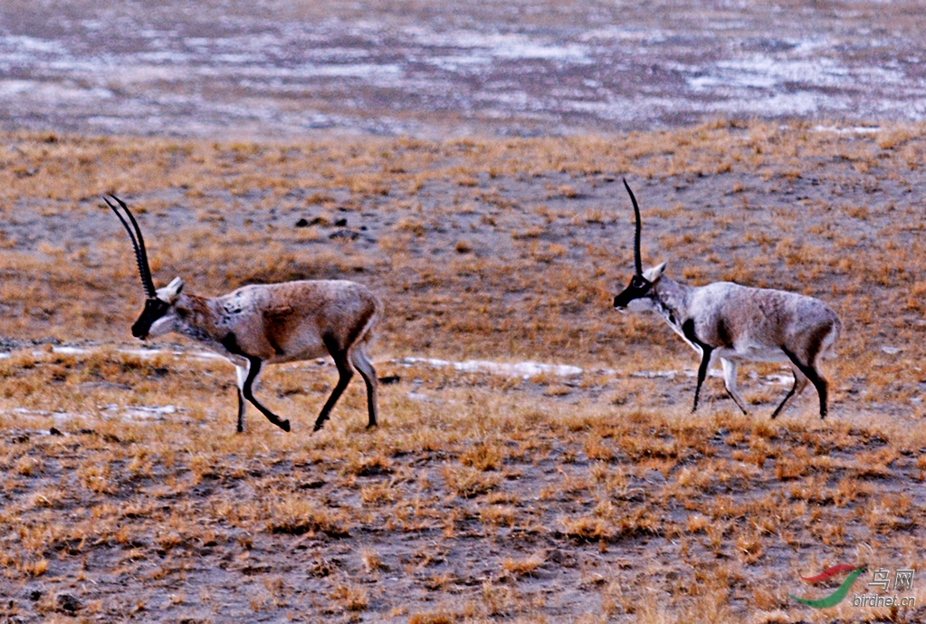 �    �й�    ����  ���ط��   18725261158  ���� (4).JPG