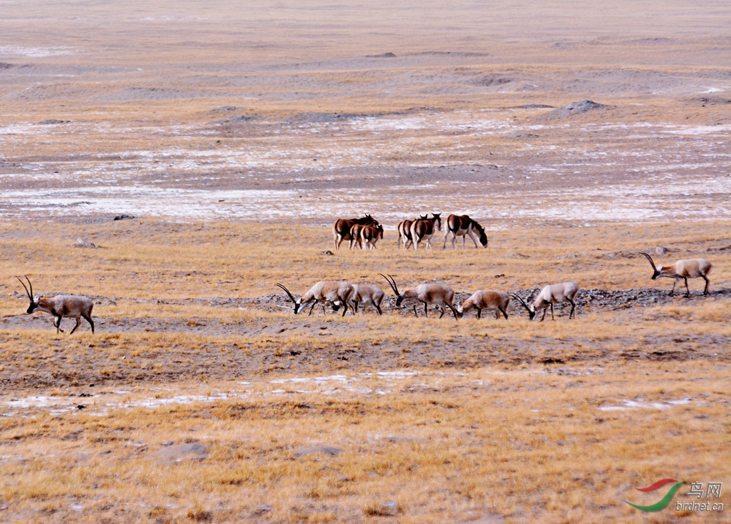 �    �й�    ����  ���ط��   18725261158  ���� (3).JPG