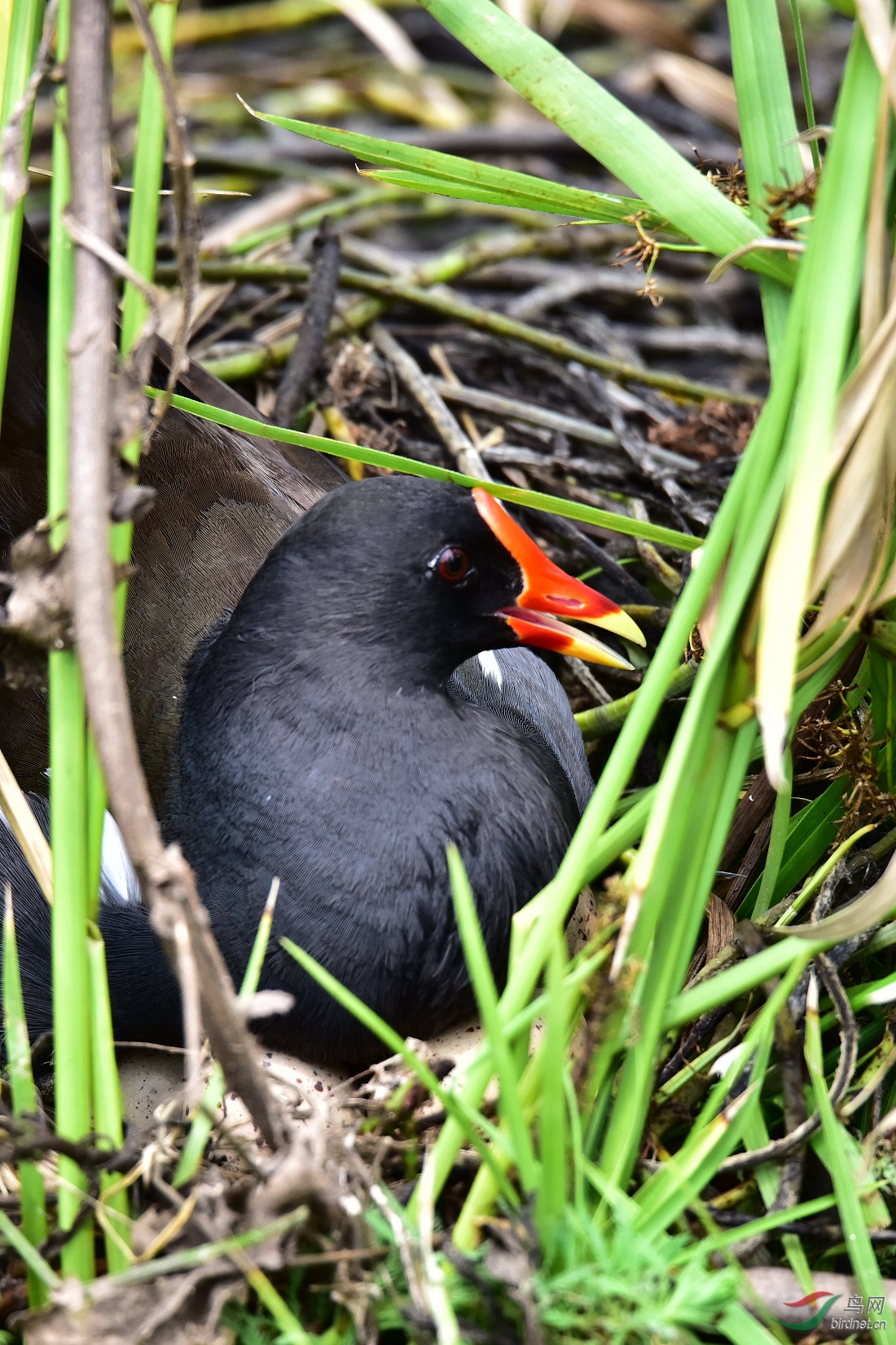 DSC_0492.JPG