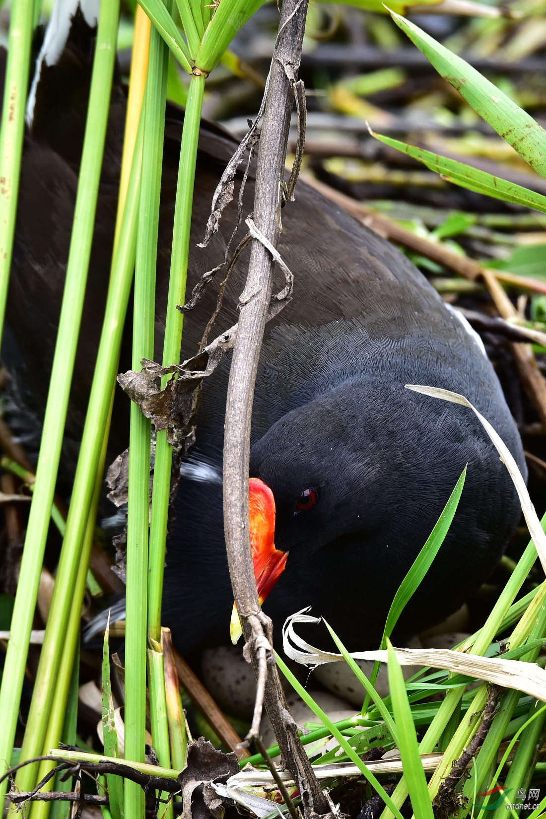 DSC_0495.JPG