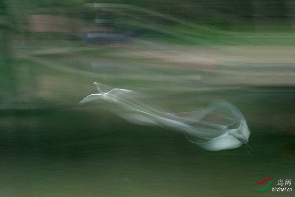 DSC_3031.jpg