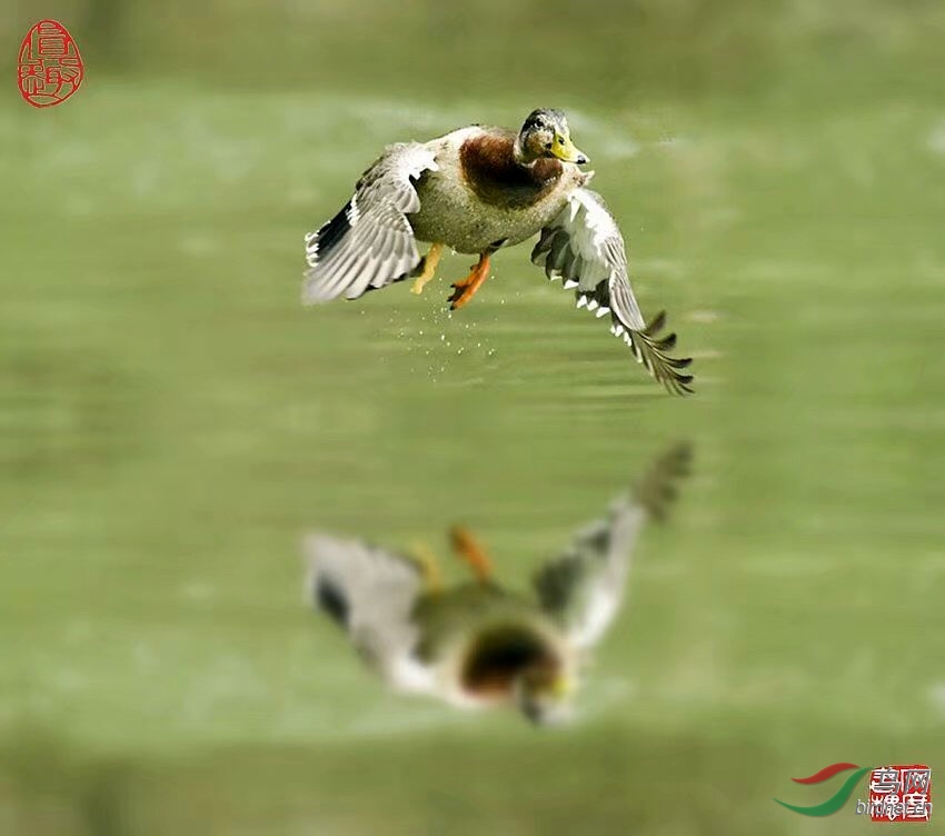 C4A00728-0092-40D8-BDDD-8664ECC89684.jpeg