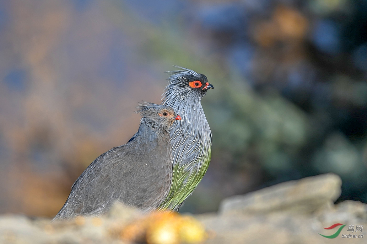 DSC_9121_����.jpg1.jpg
