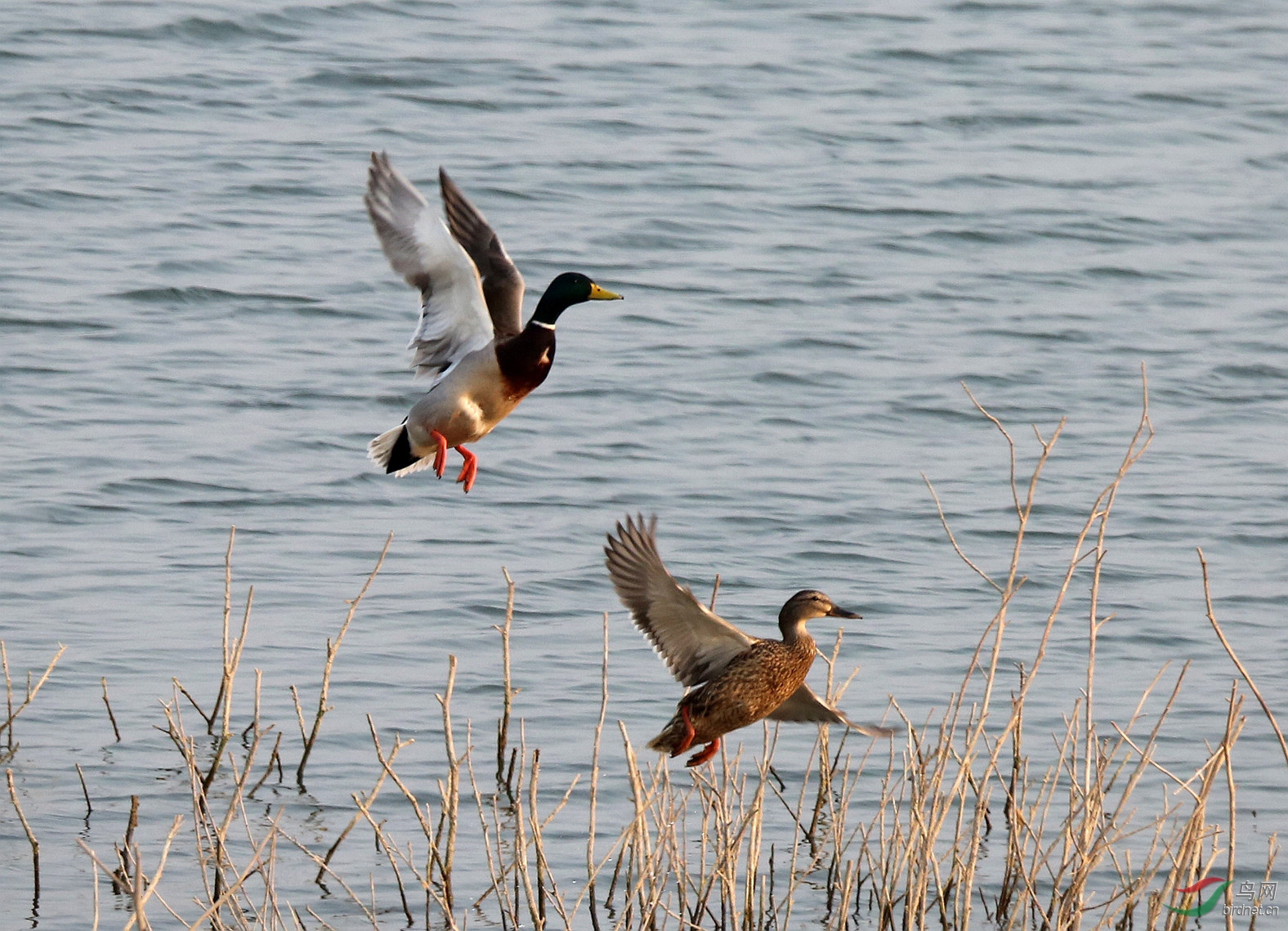 7M7A0736 ����.jpg