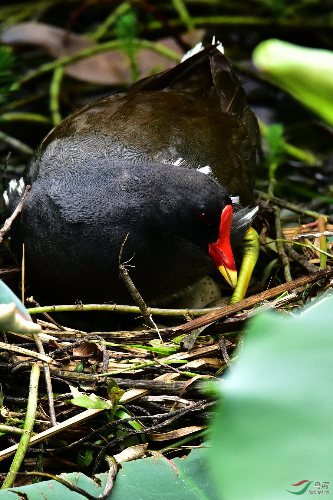 DSC_0538.JPG