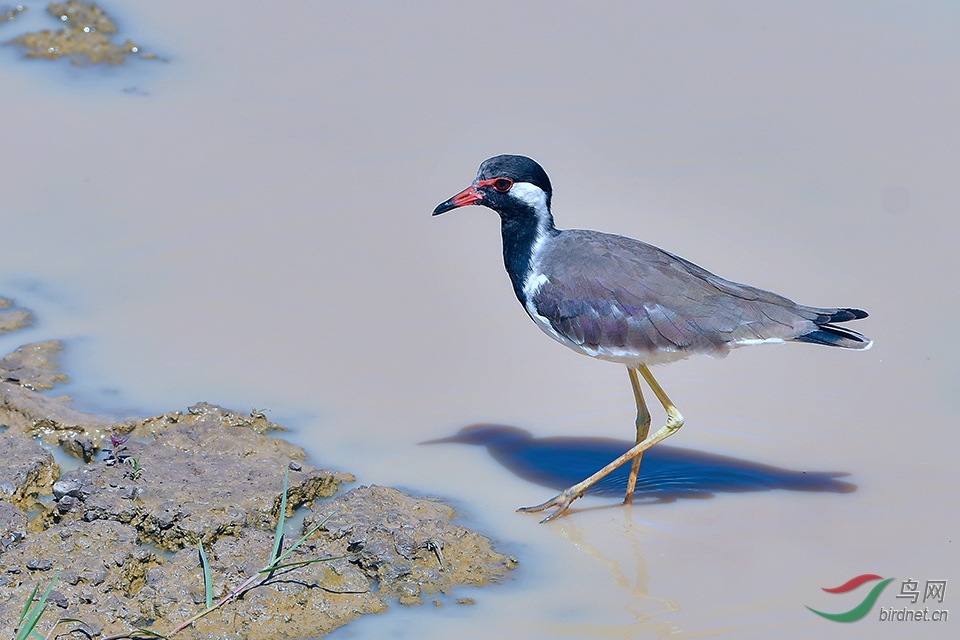 DSC_5037_DxOa.jpg