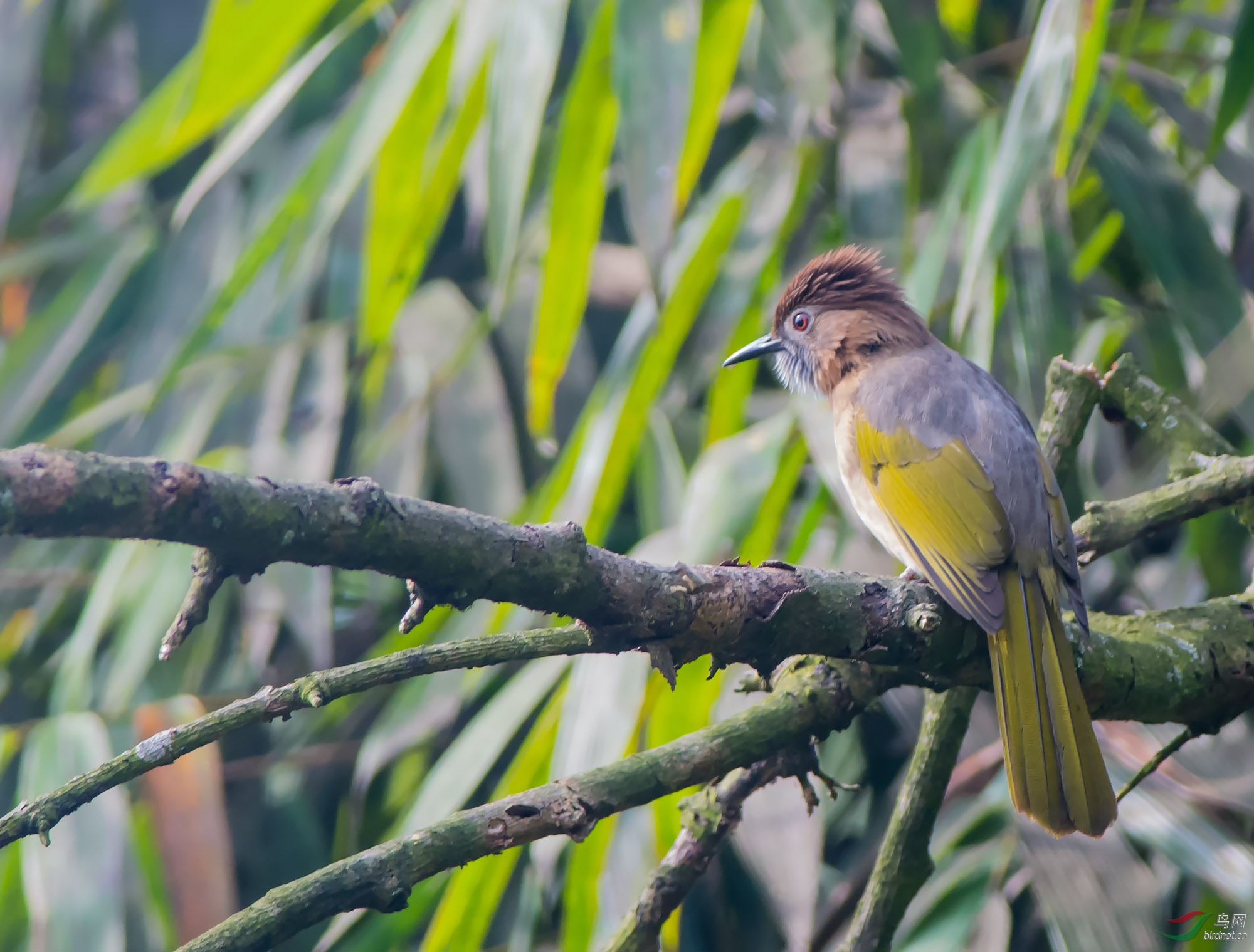 ��һ���̳�̽�