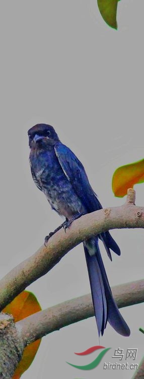 1553343570156-01_����.jpg