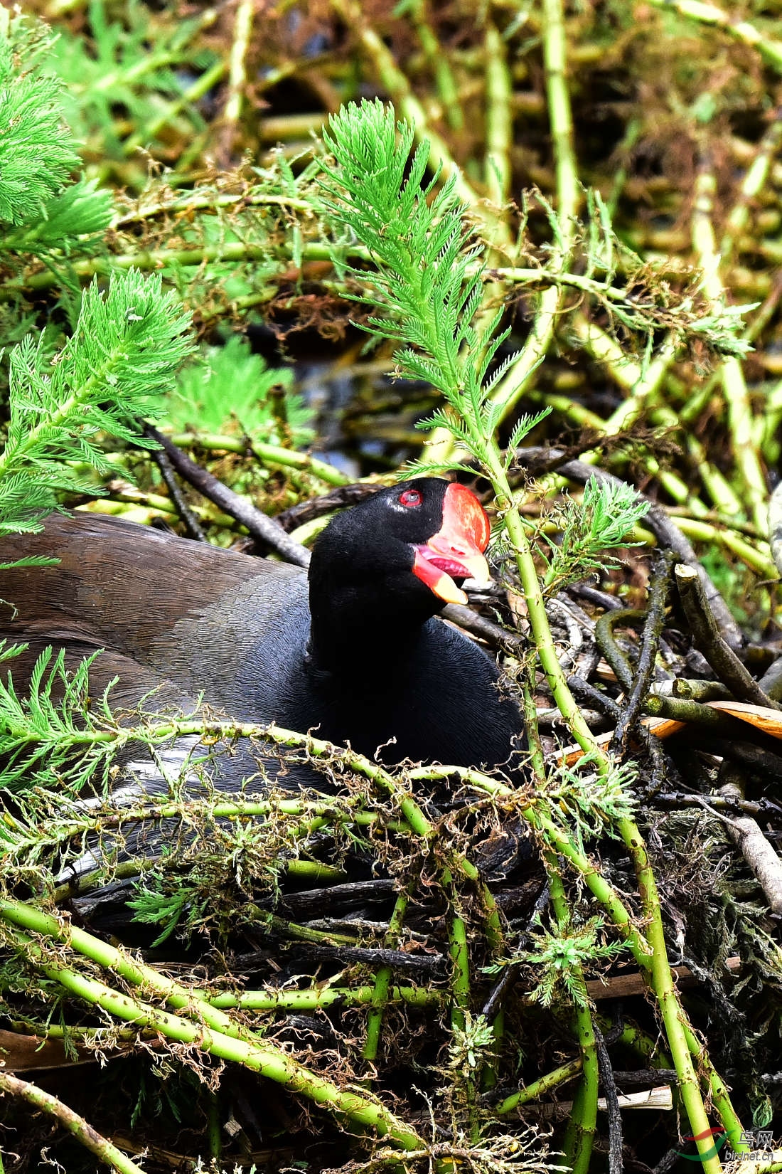 DSC_0510.JPG