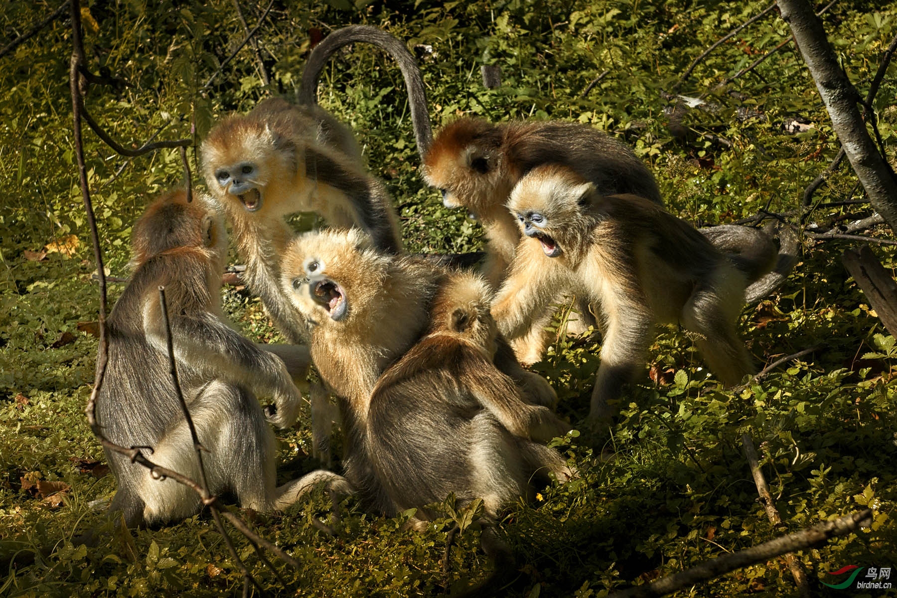 DSC04828 ���� 2.jpg