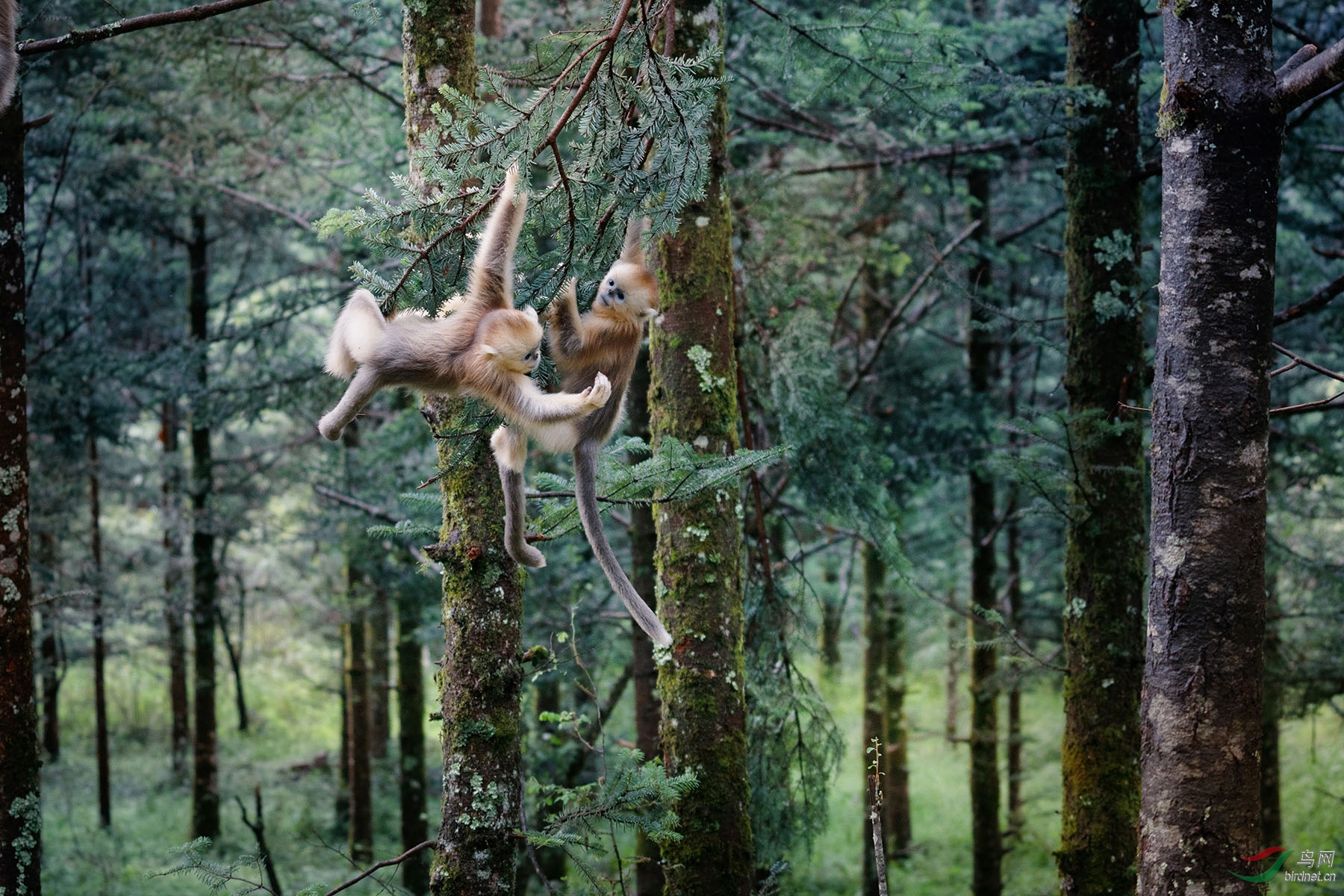 DSC03582 ����.jpg