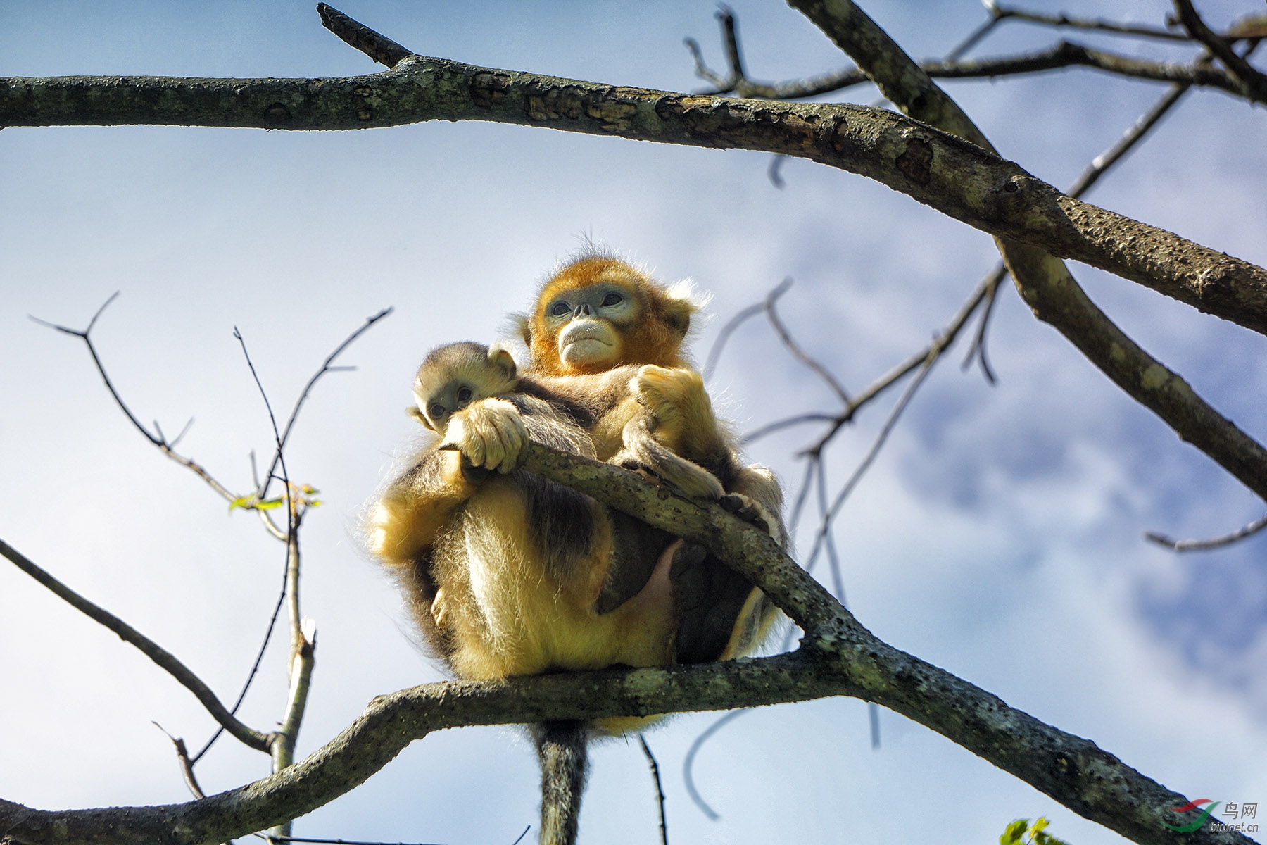 DSC04982 ����.jpg