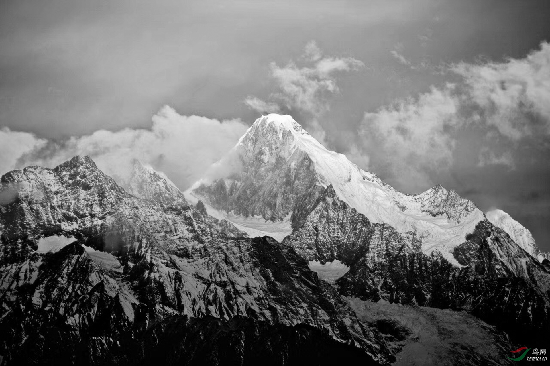 雪山祝贺荣获黑白影像首页精华
