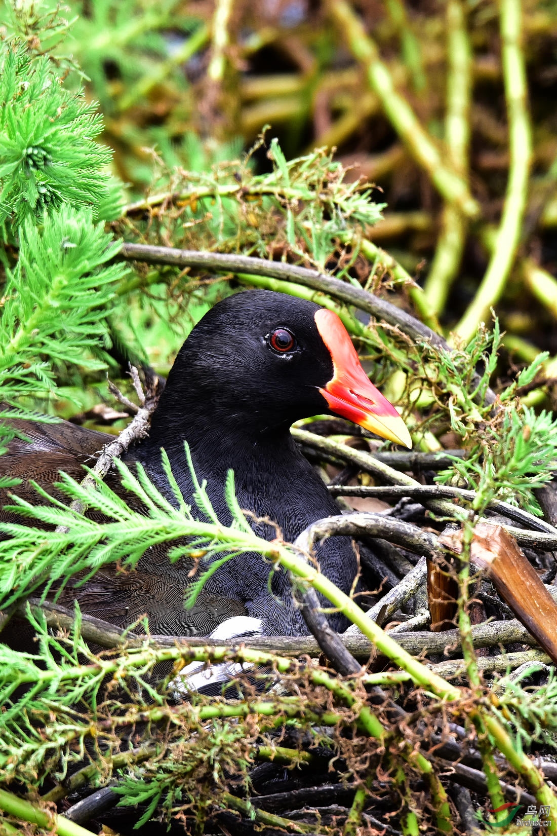 DSC_0514.JPG