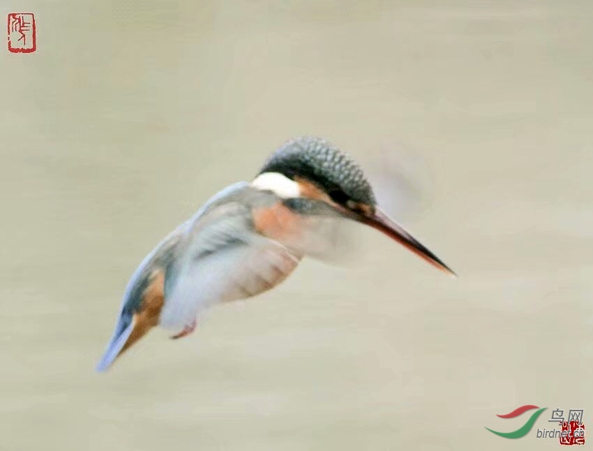 C088C379-789E-440F-A0E2-E39771D92D1C.jpeg