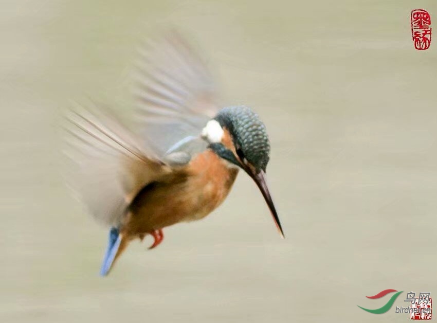 658B67F6-7D73-4ACB-A7FC-F753A66C4522.jpeg