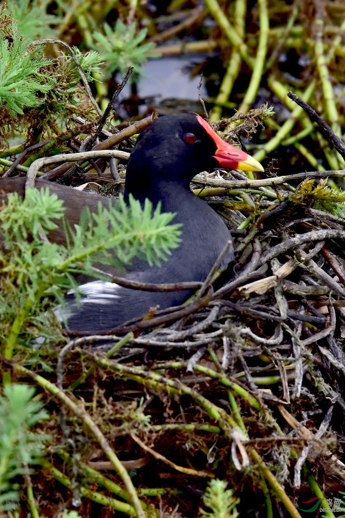 DSC_0523.JPG