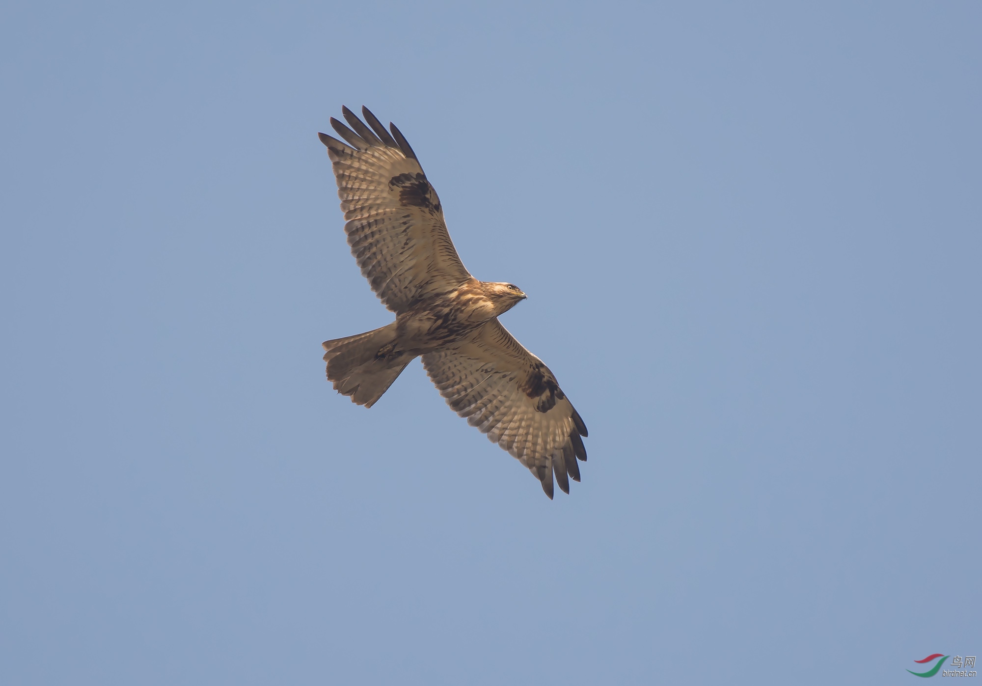 ��һ��  30��