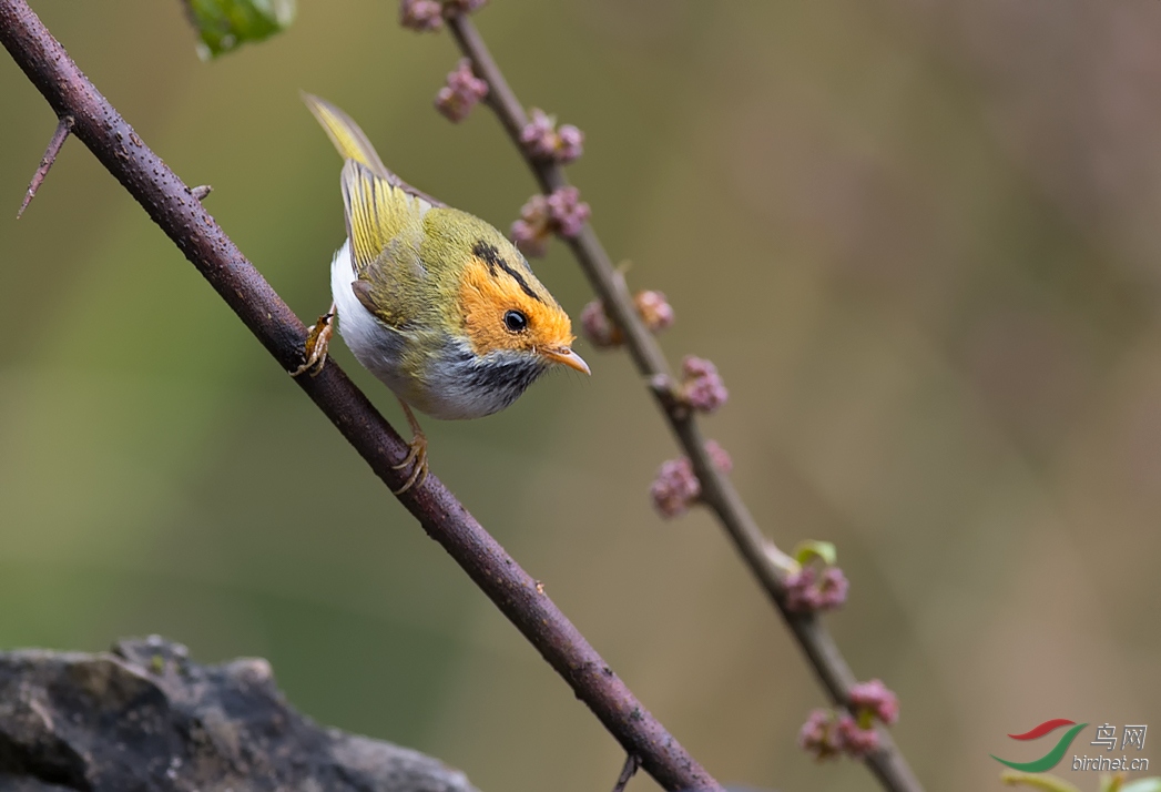 DSC_2643.jpg