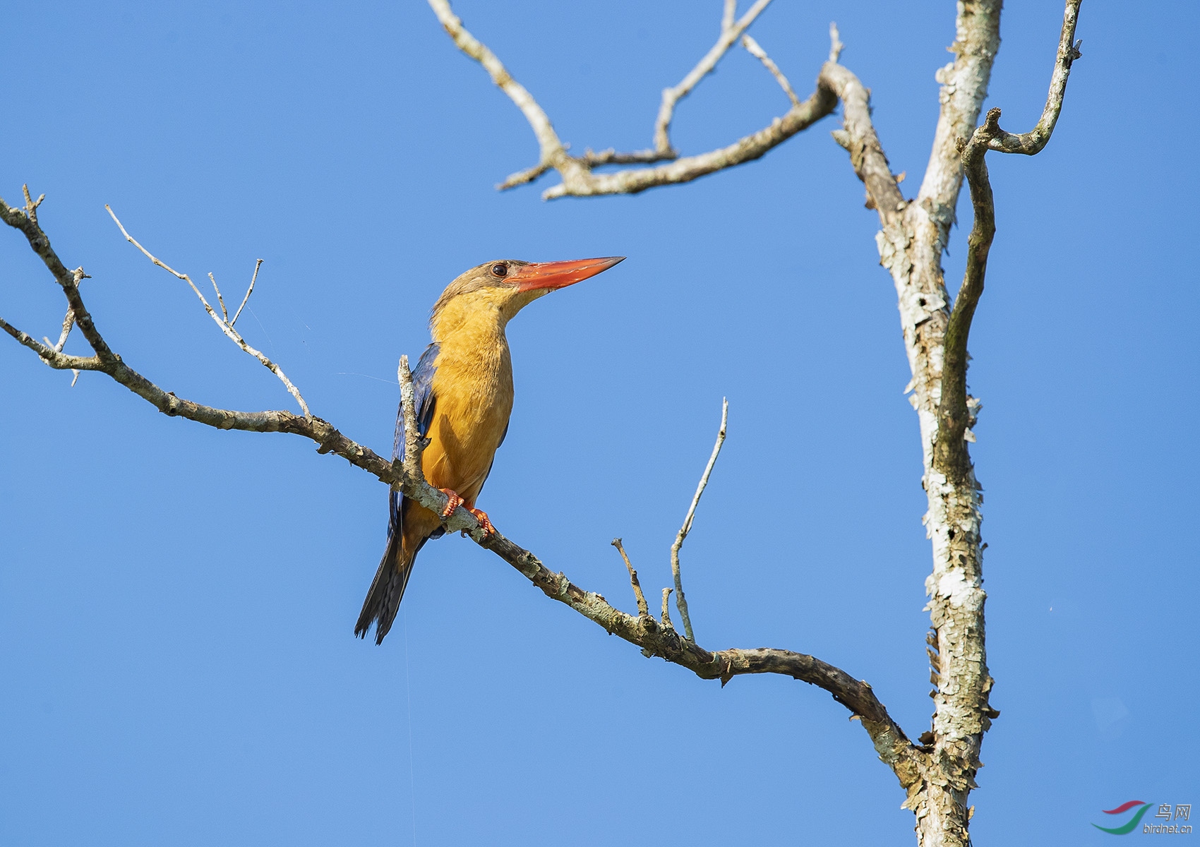 NL__1167-1.jpg