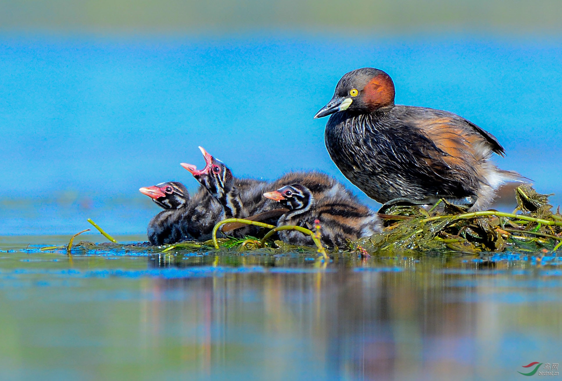 �����  ���Ҹ�һ���ӡ� (5).jpg