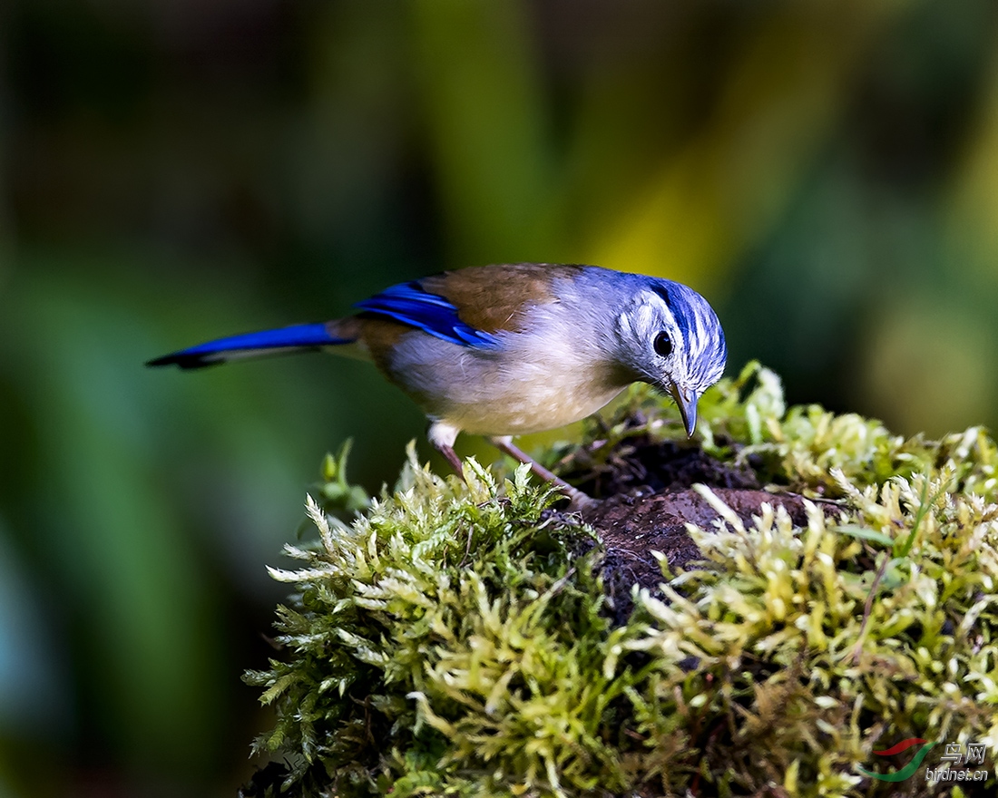 _DSC5842---A---25.jpg