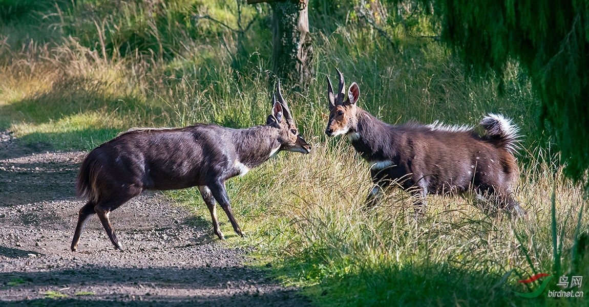 DSC_4714.jpg
