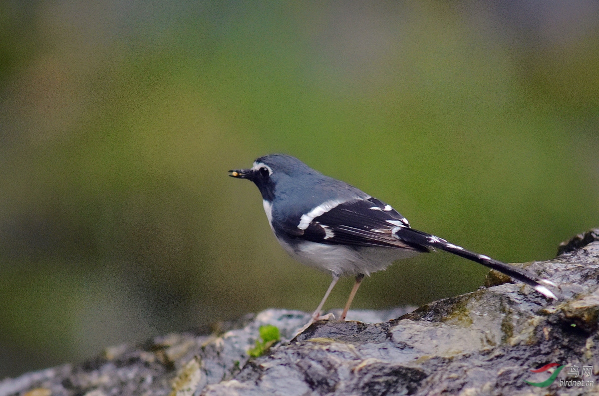 D72_0160.jpg