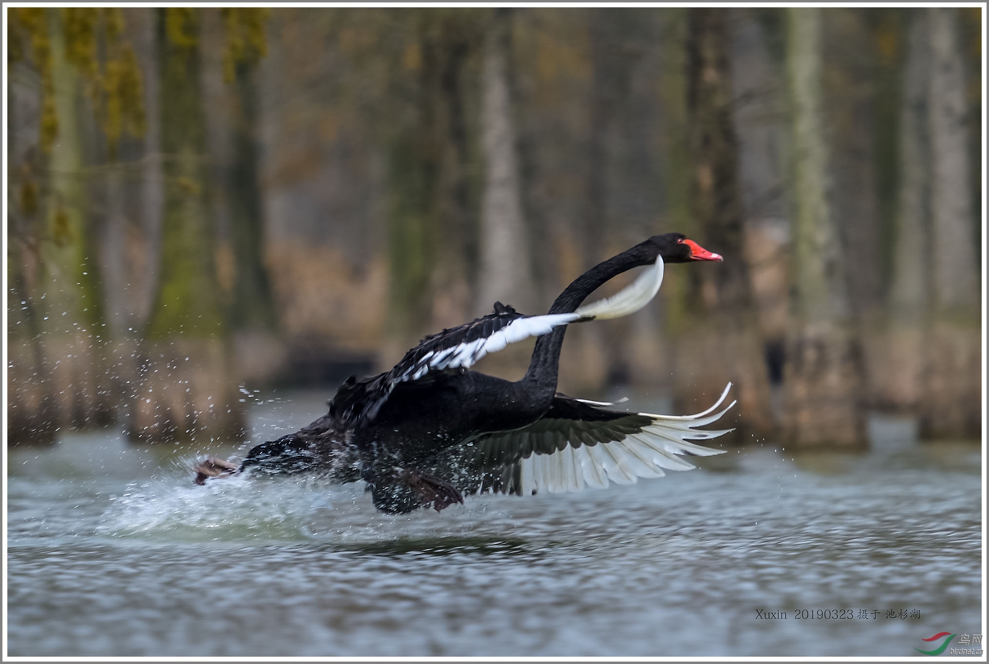 ��_XUX0992_01��Ϊ���ܶ���-1 2000.jpg