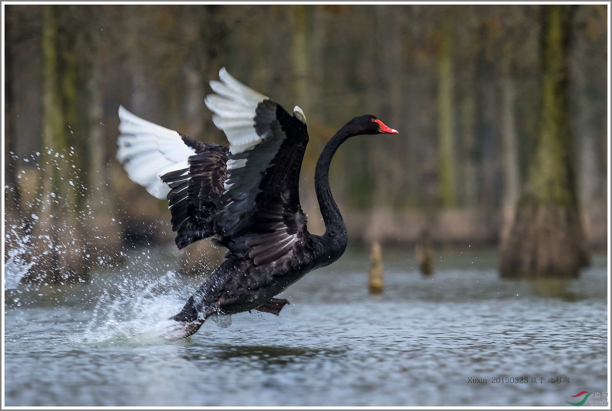 ��_XUX0997_01��Ϊ���ܶ���-1 2000.jpg