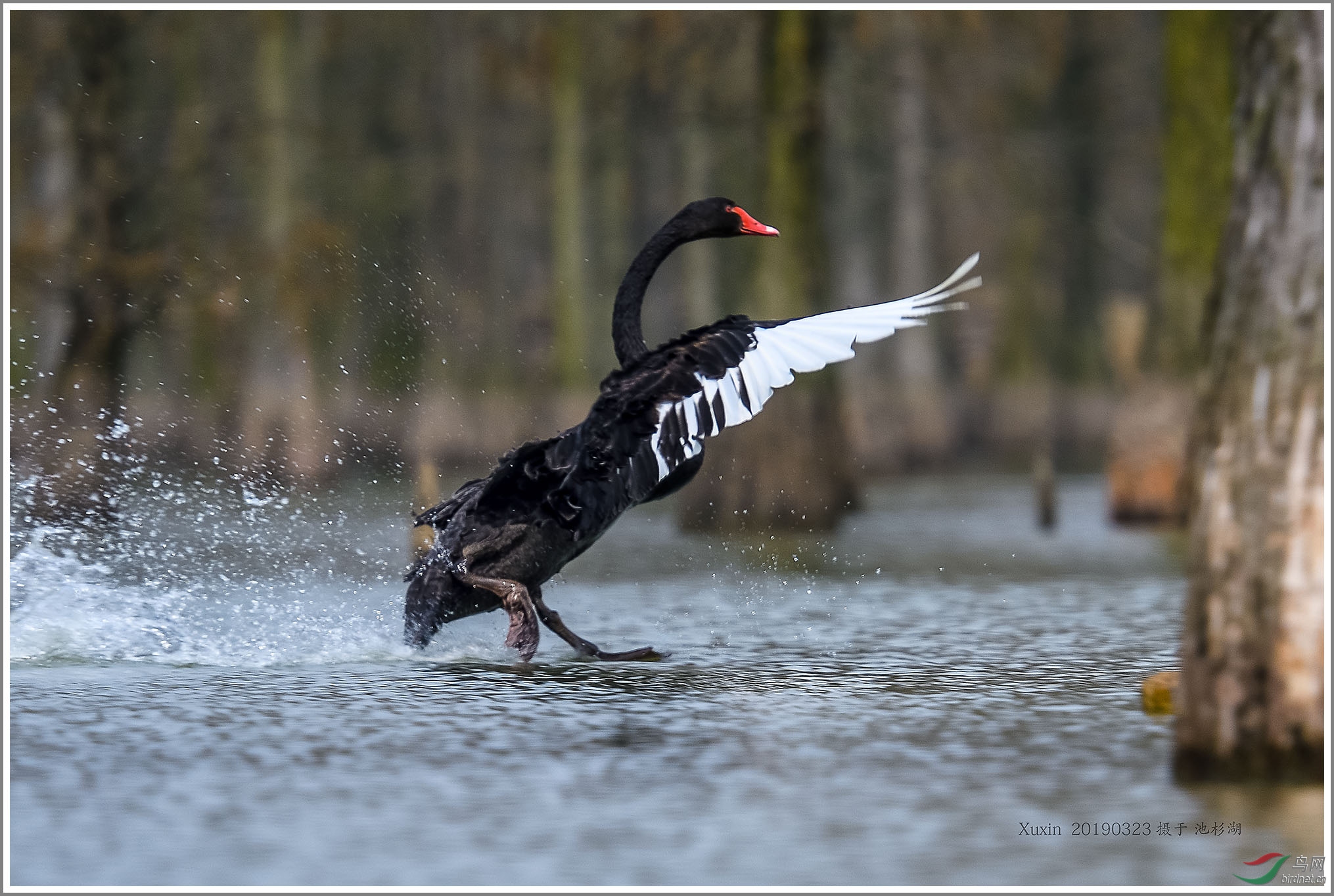 ��_XUX0998_01��Ϊ���ܶ���-1 2000.jpg