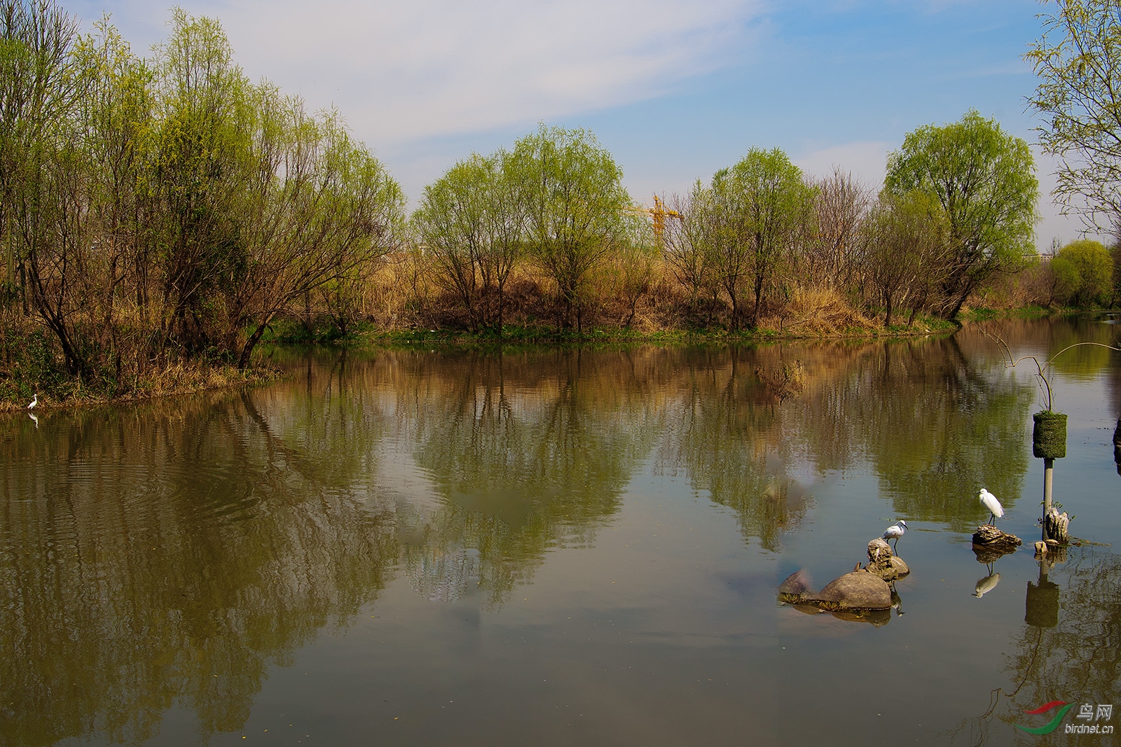 _DSC3179-1.jpg