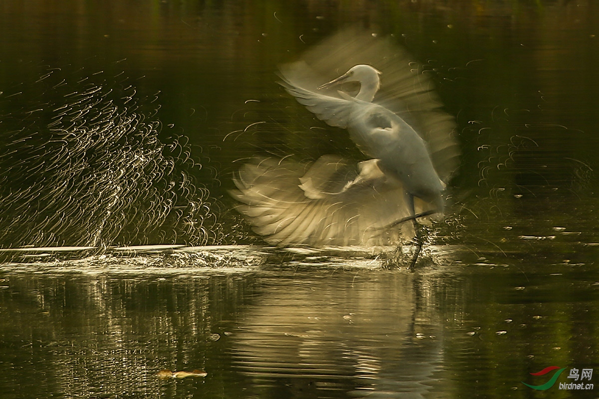 ΢��ͼƬ_201903261538461 ��������.jpg