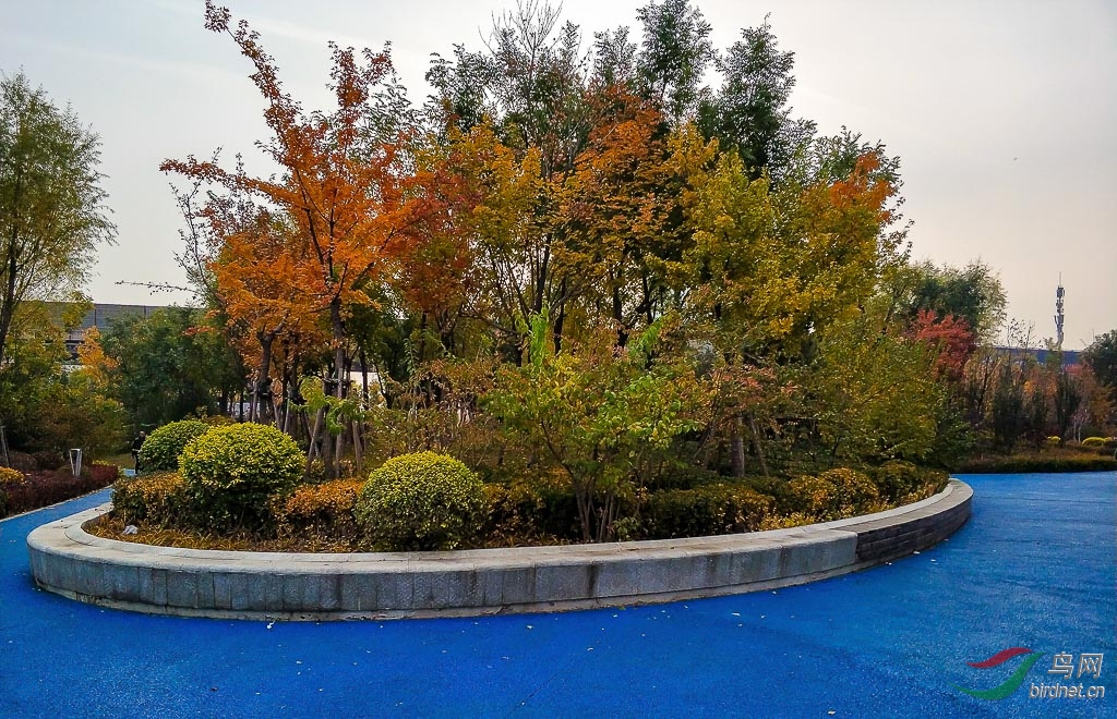 IMG_20181020_080201.jpg