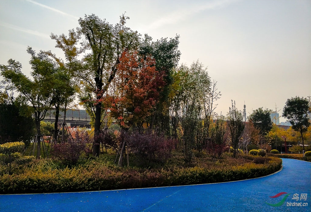 IMG_20181020_080257.jpg