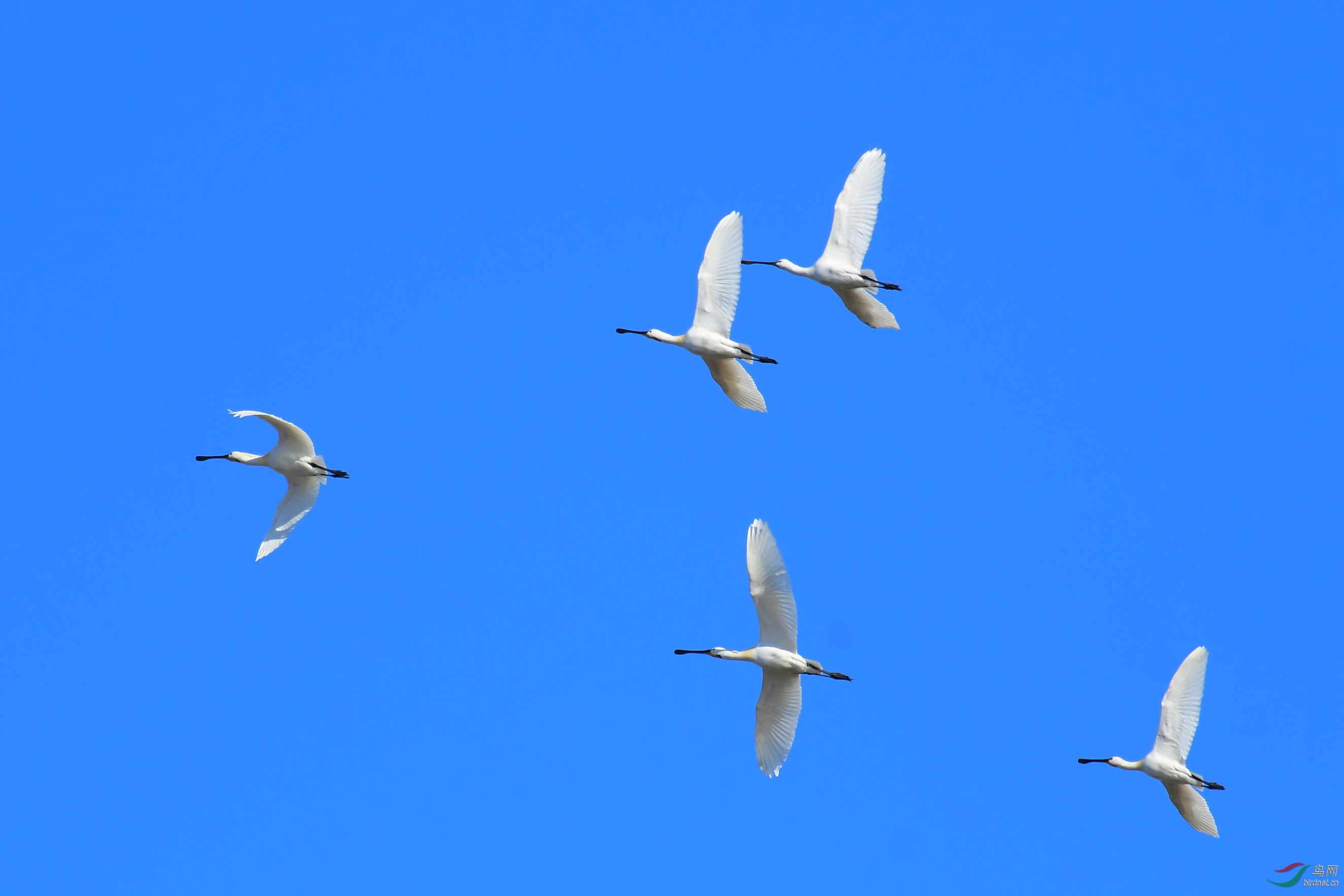 DSC_0261.JPG