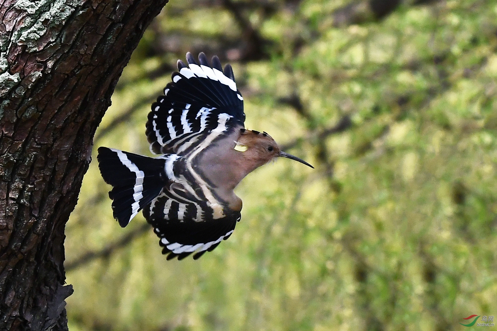 DSC_7983.JPG