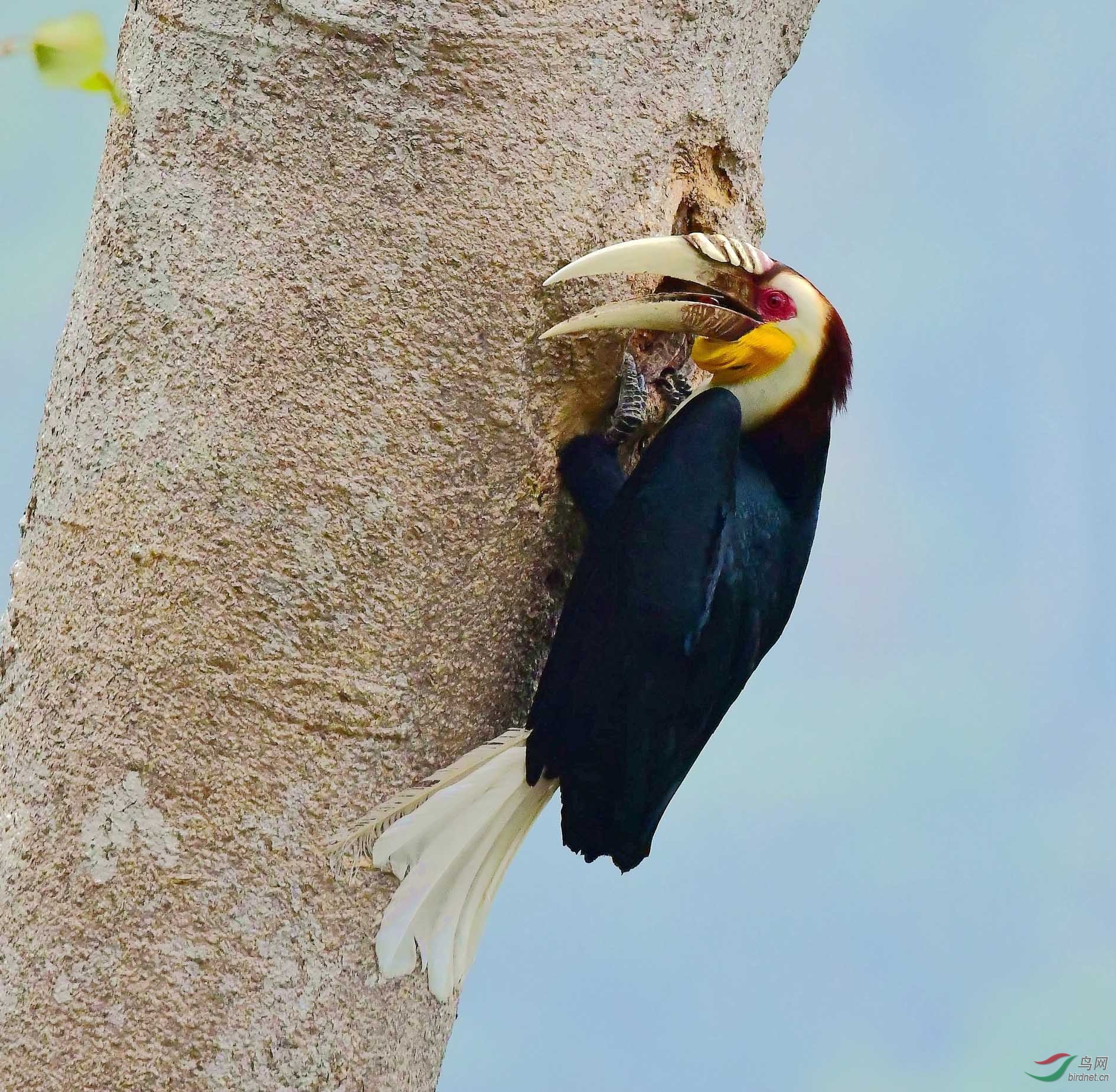 DSC_6581_����.jpg