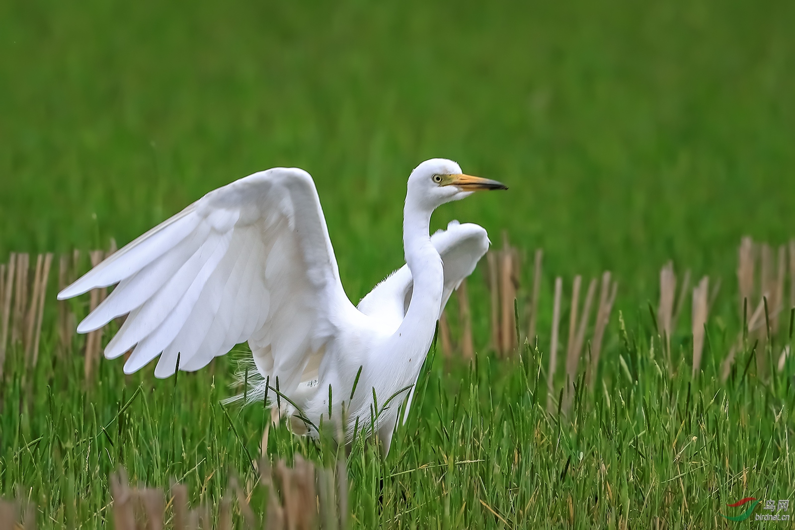 E25D0606-B2AD-487E-A9D5-8DA7237C6964.jpeg
