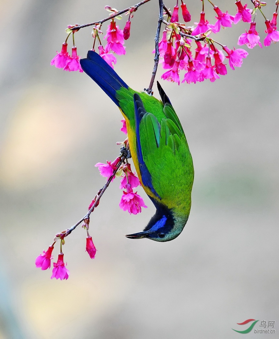 DSC_3799a.JPG