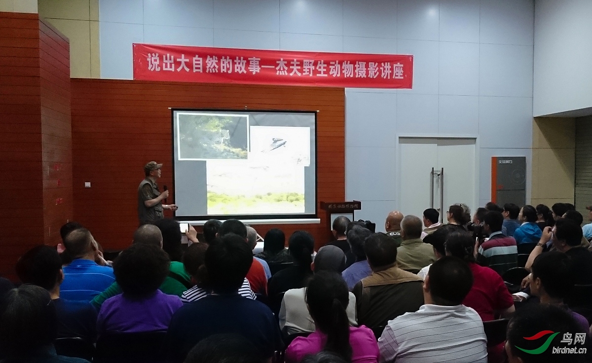 150451q3s1qd0s8rb3bds8.jpg