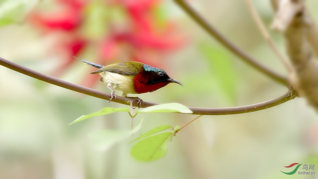 _DSC0638 - ����.JPG