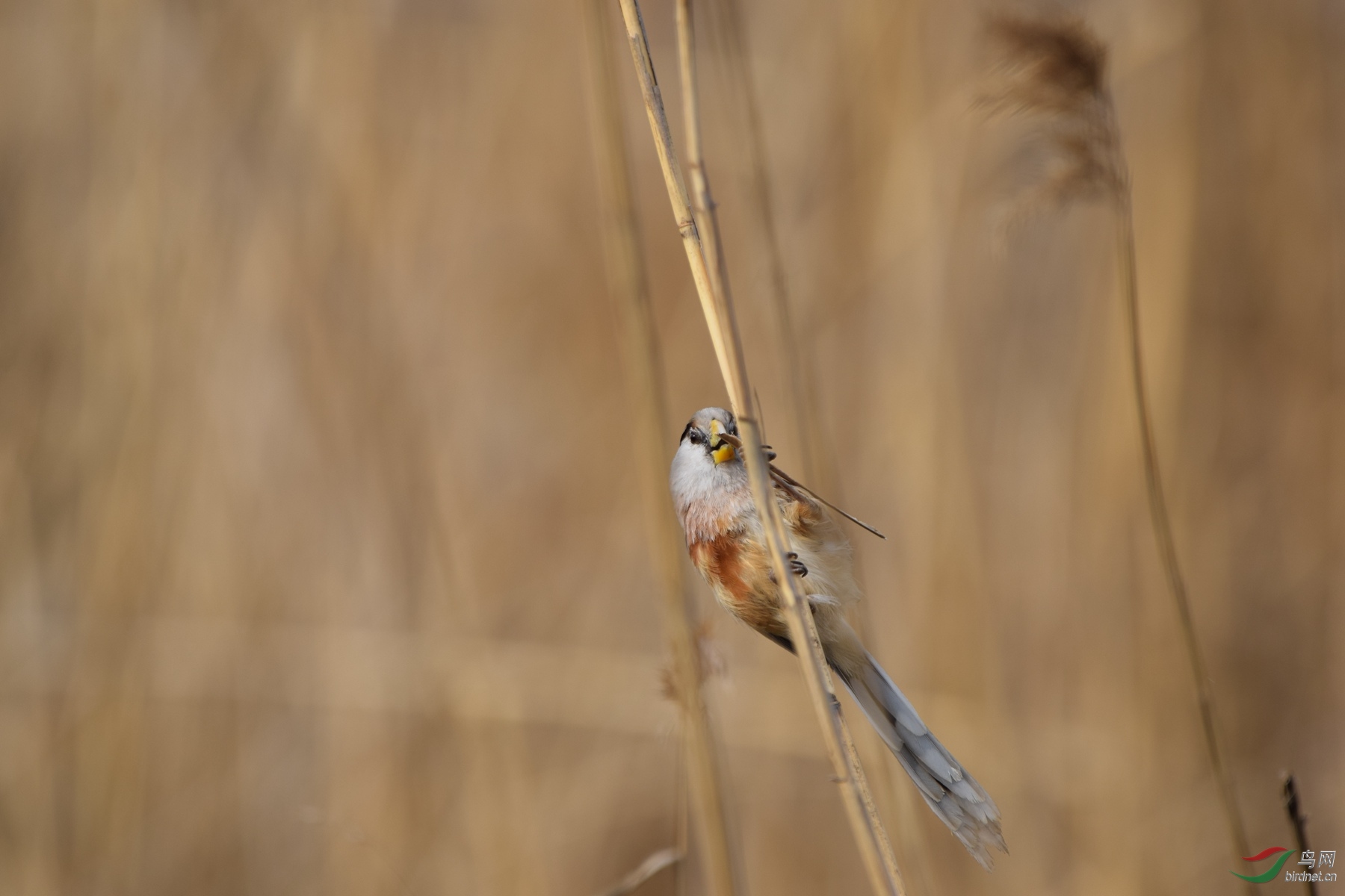 DSC_0256.JPG