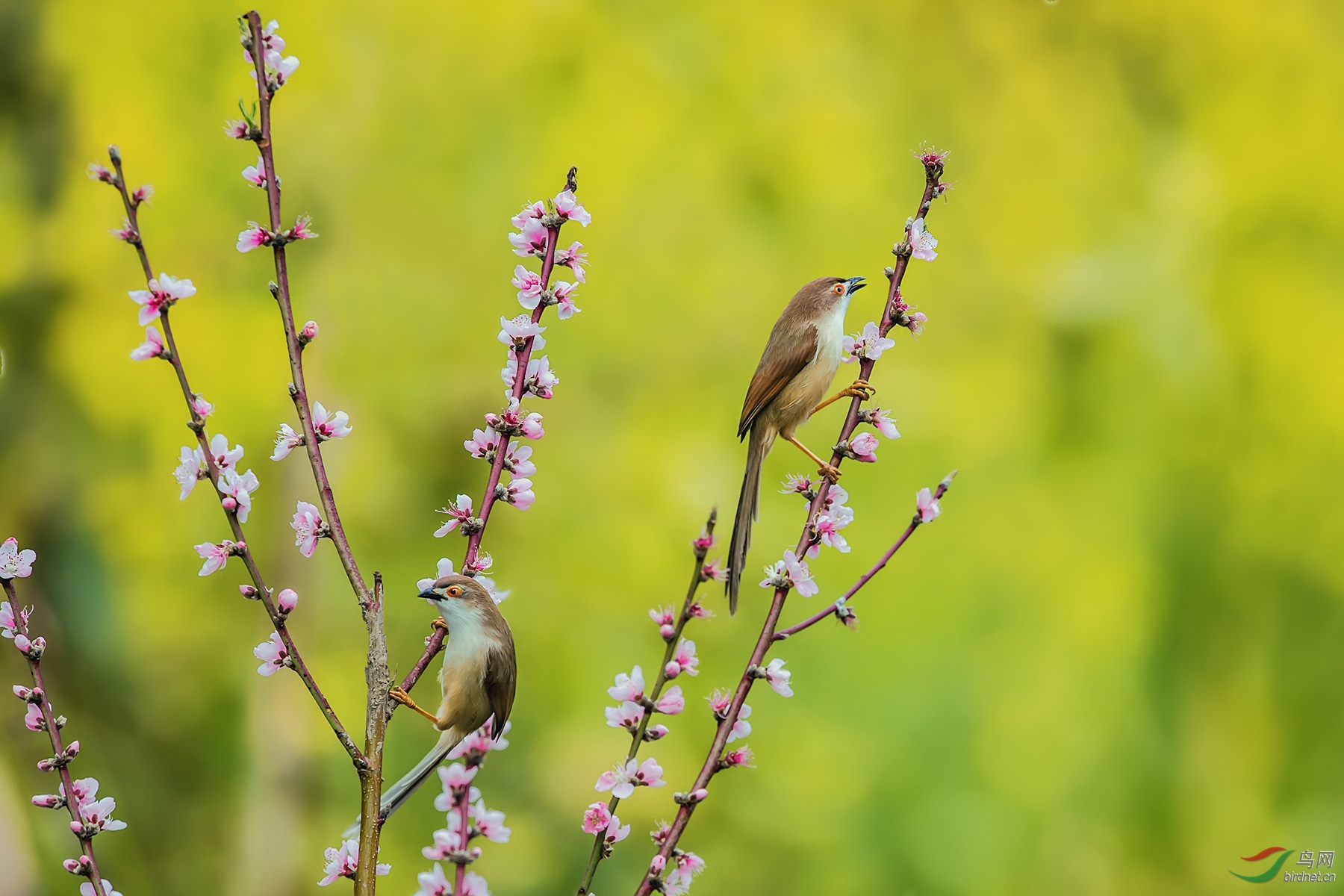 ������ȸϷӣ��