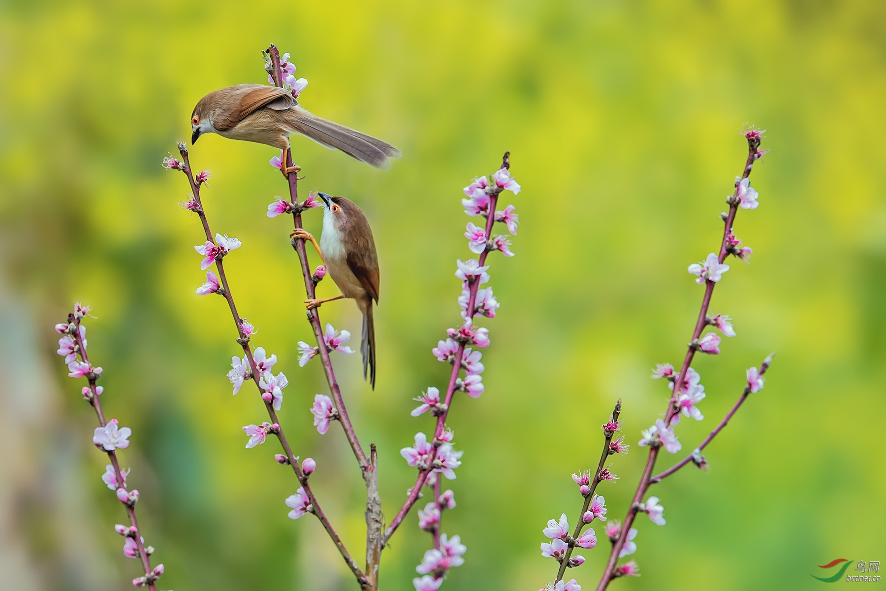 ������ȸϷӣ��